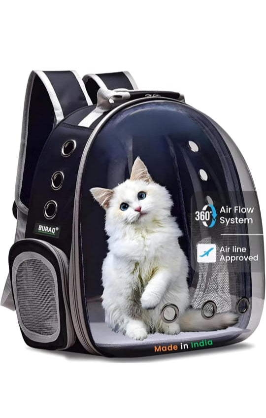Transparent Cat Travel Backpack