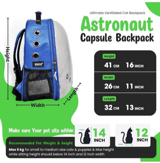 Transparent Cat Travel Backpack