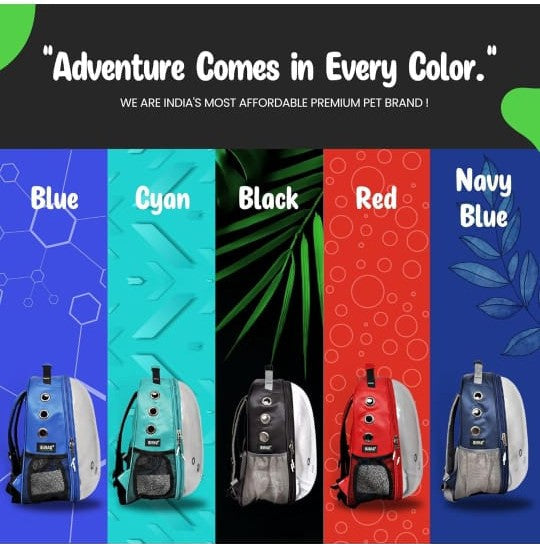 Transparent Cat Travel Backpack