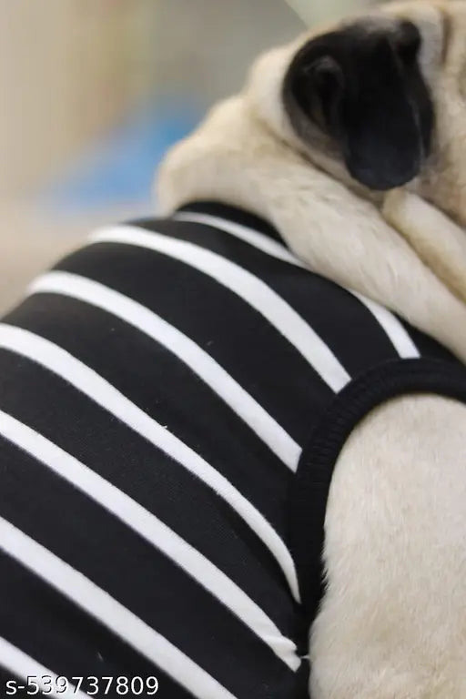 Striped Cotton Dog Hoodie โ Lightweight & Stylish Pet T-Shirt