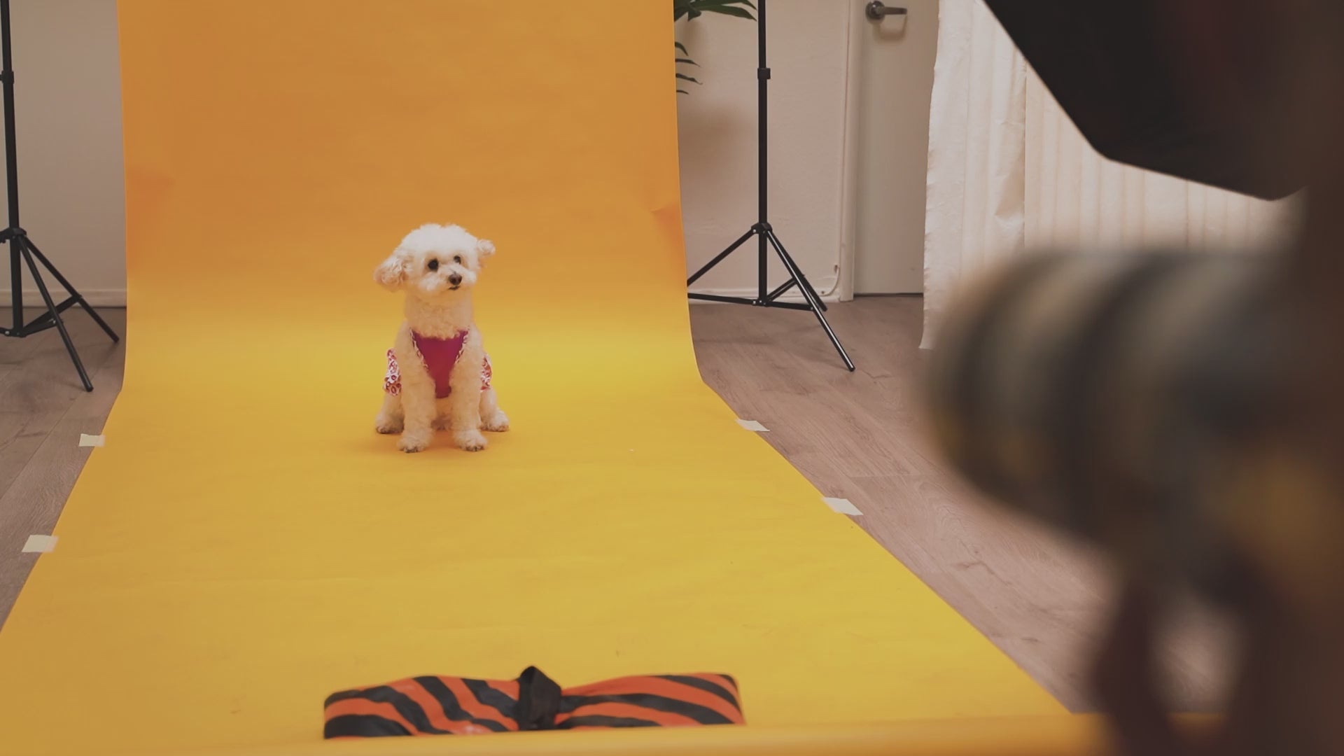 Load video: 